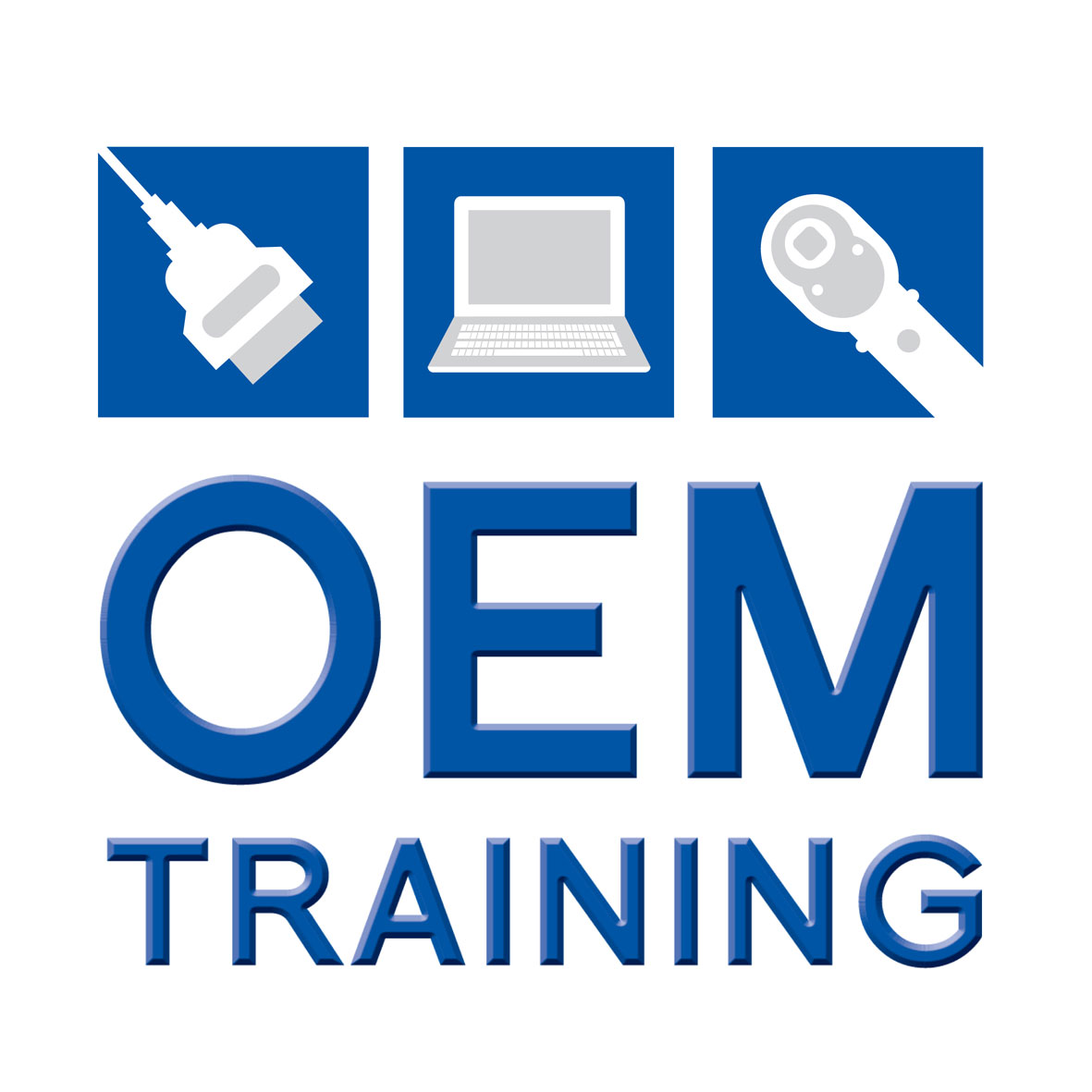 OEM Training Logo